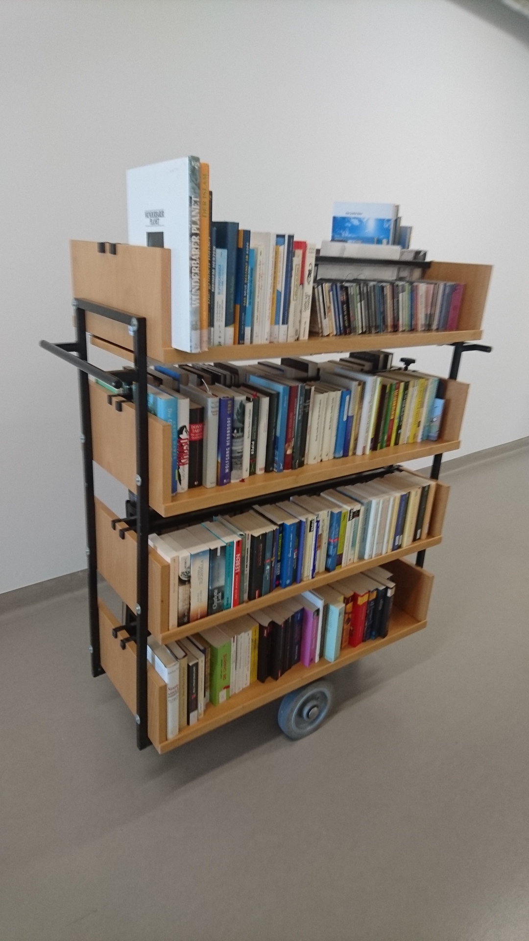 Bücherwagen (Foto: Beate Detlefs)